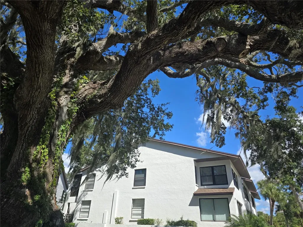 411 S Bayshore Boulevard Safety Harbor FL 34695