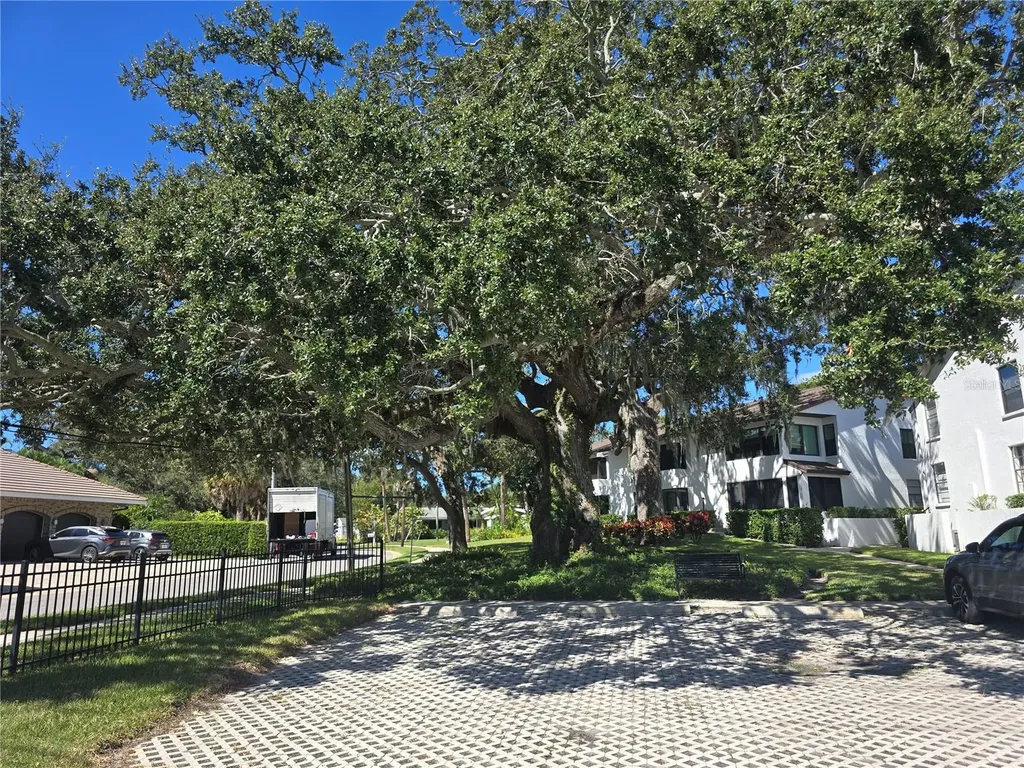 411 S Bayshore Boulevard Safety Harbor FL 34695