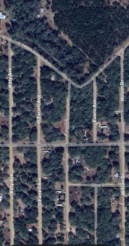 Lot 3 Neisman Avenue Interlachen FL 32148