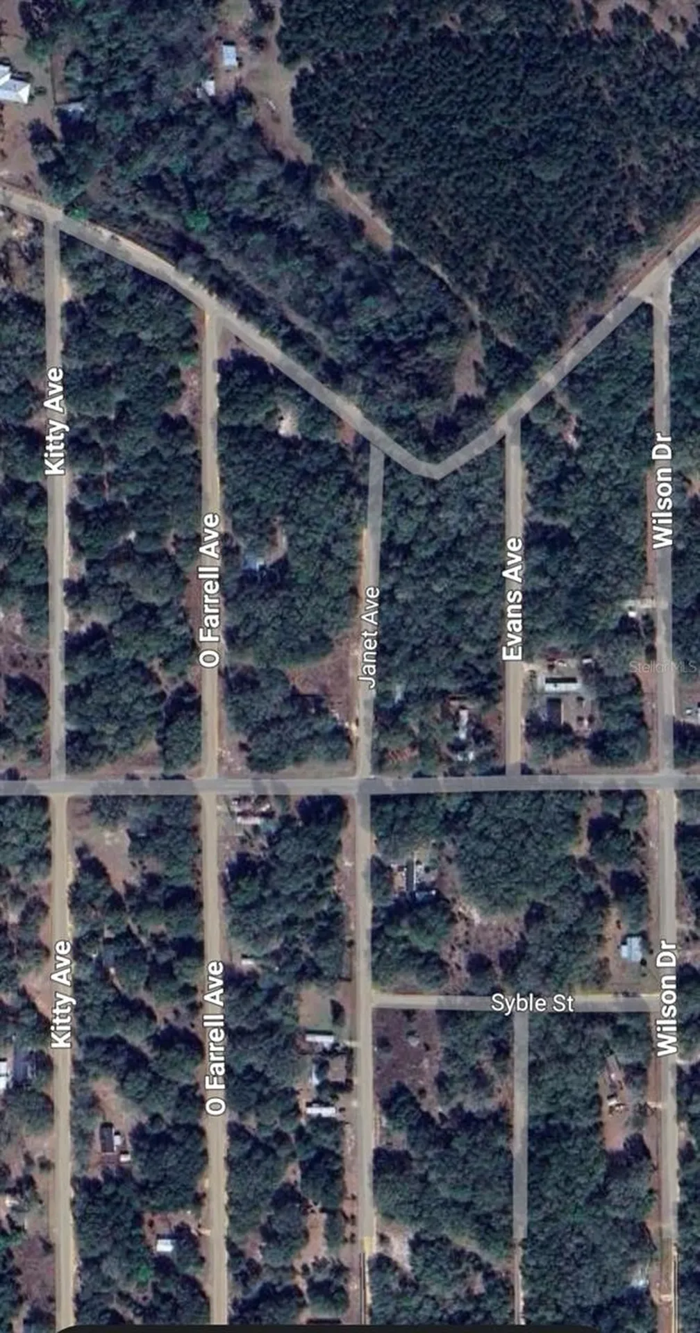 Lot 3 Neisman Avenue Interlachen FL 32148