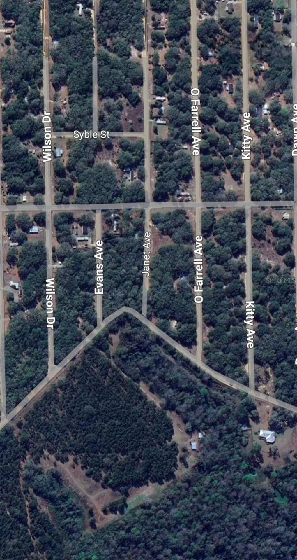 Lot 3 Neisman Avenue Interlachen FL 32148