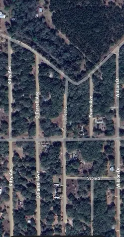 Lot 3 Neisman Avenue Interlachen FL 32148