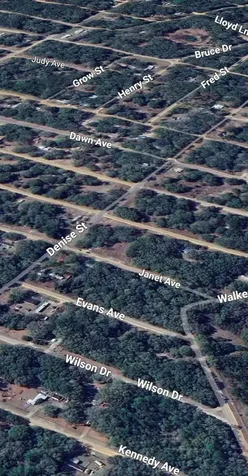 Lot 3 Neisman Avenue Interlachen FL 32148