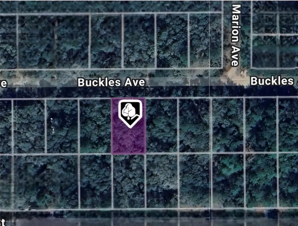 Lot 8 Buckles Avenue Interlachen FL 32148