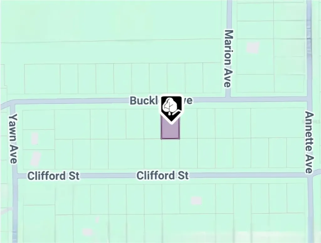 Lot 8 Buckles Avenue Interlachen FL 32148