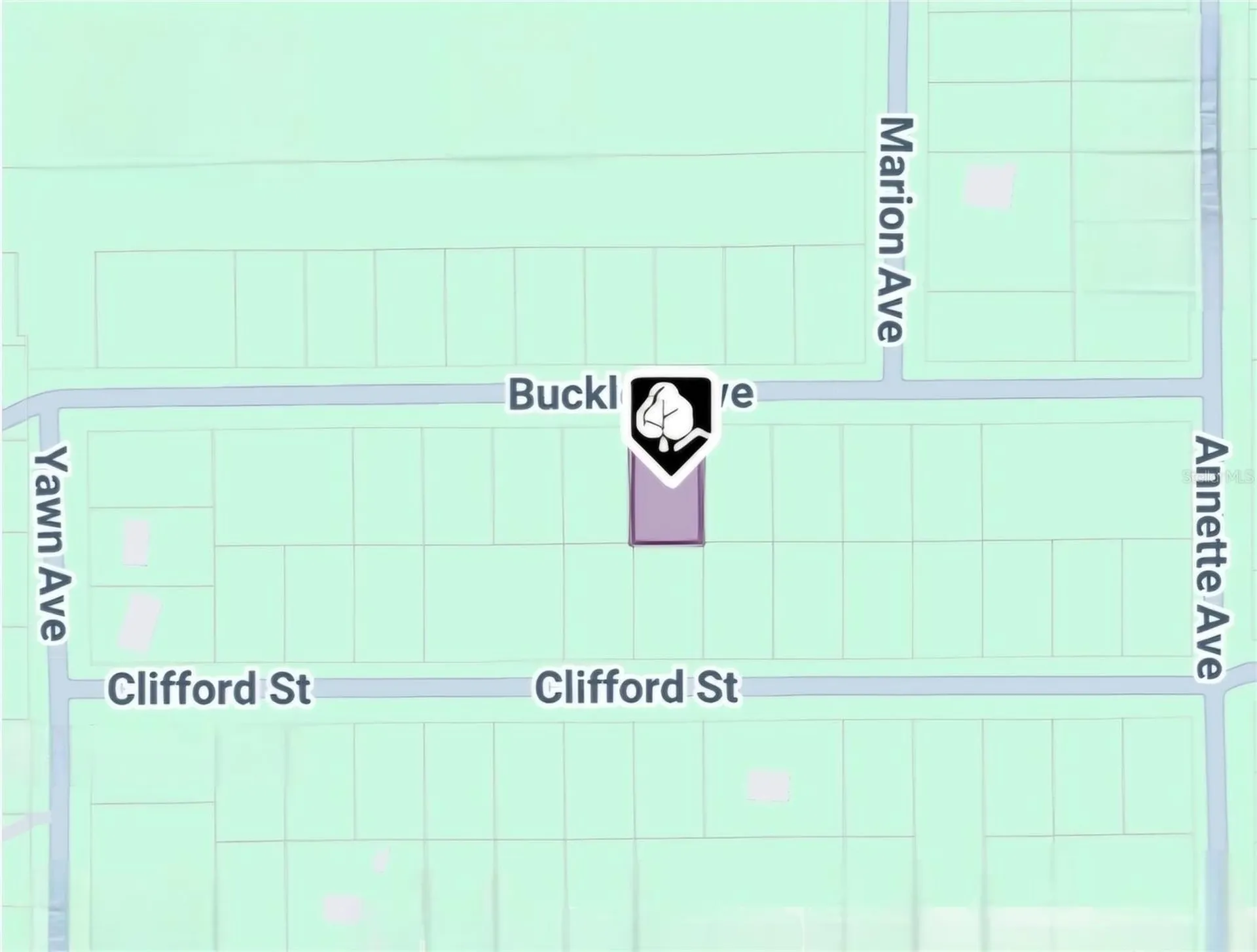 Lot 8 Buckles Avenue Interlachen FL 32148