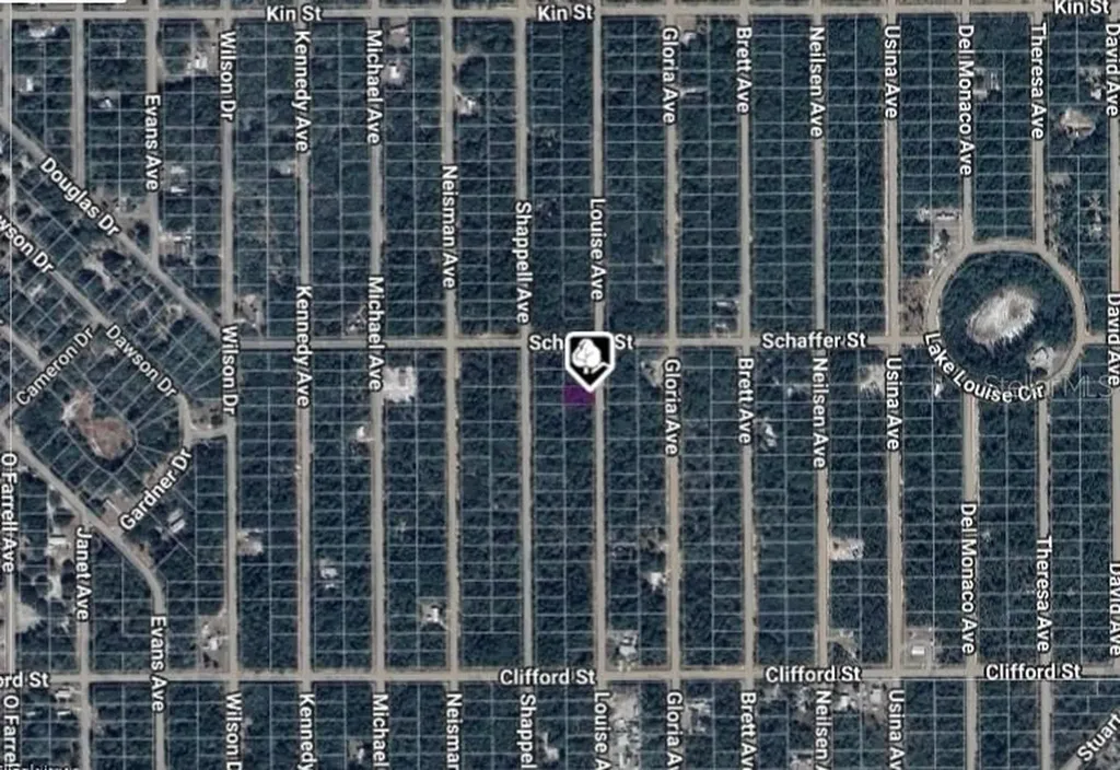 Lot 22 Louise Avenue Interlachen FL 32148
