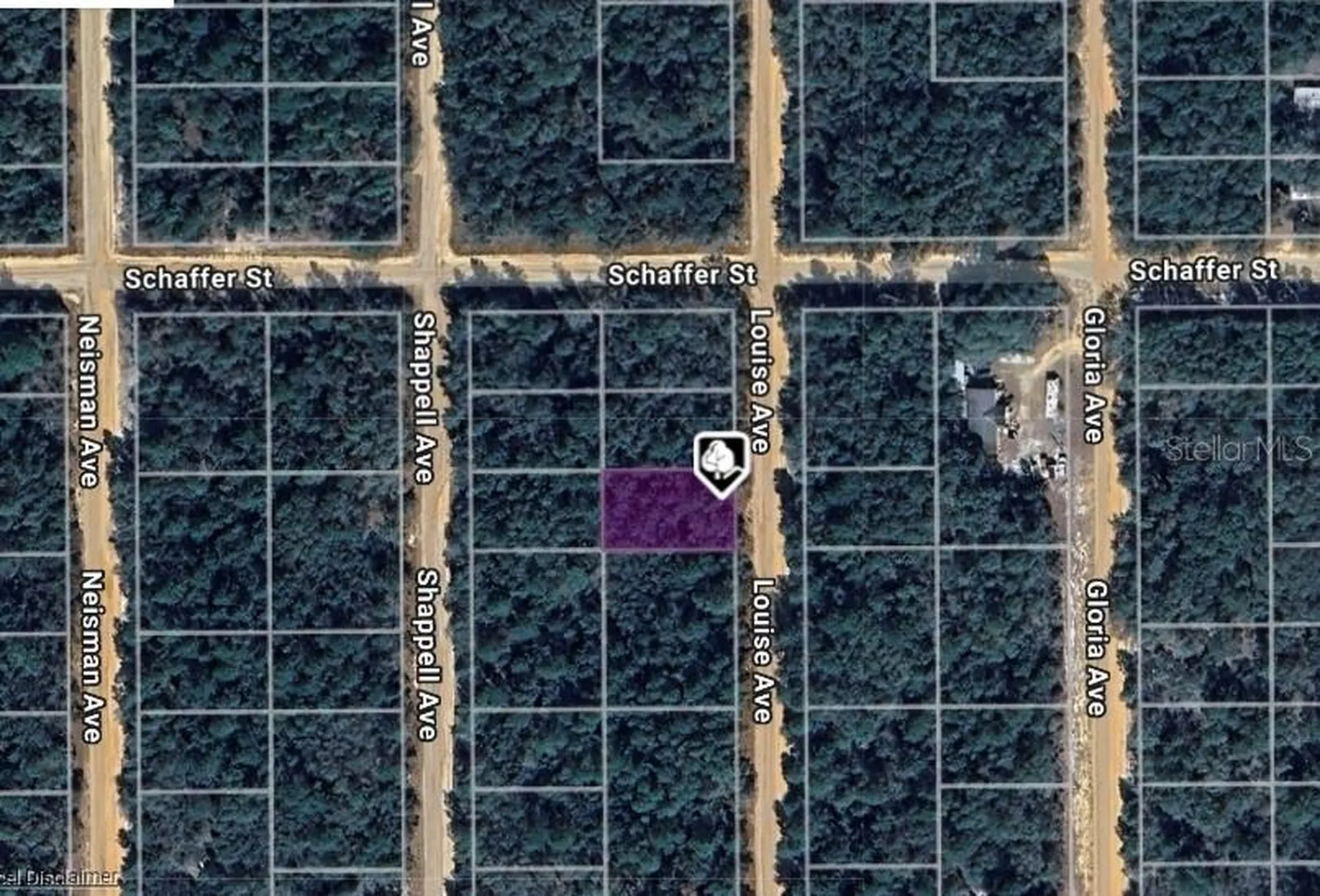 Lot 22 Louise Avenue Interlachen FL 32148