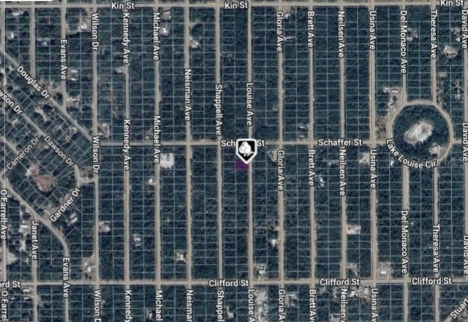 Lot 22 Louise Avenue Interlachen FL 32148