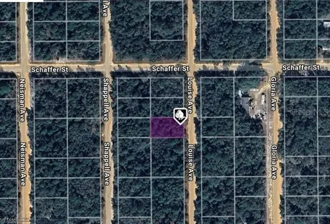 Lot 22 Louise Avenue Interlachen FL 32148