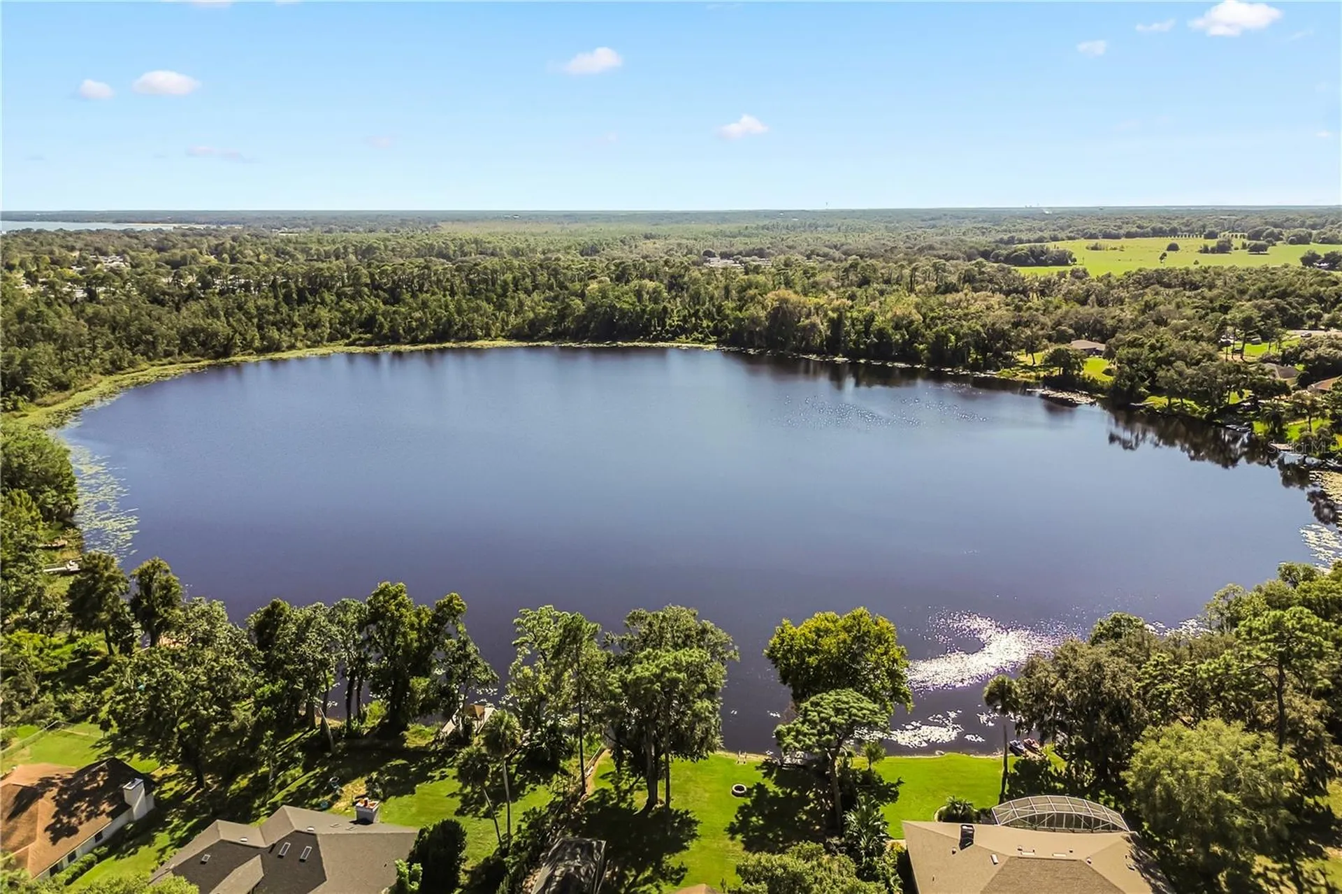 4133 Bair Avenue Fruitland Park FL 34731