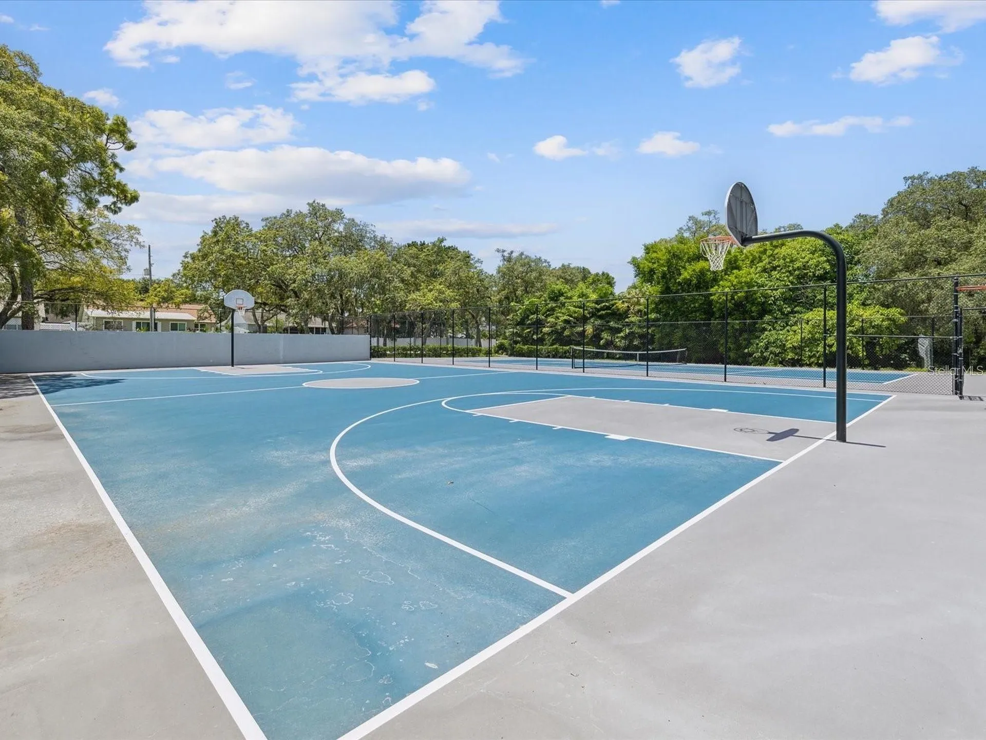 1424 Ridge Shore Drive Tarpon Springs FL 34689