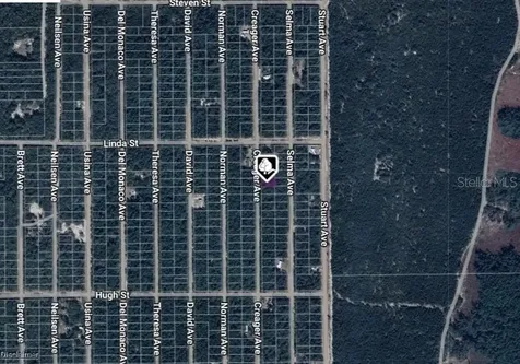 Lot 5 Creager Avenue Interlachen FL 32148