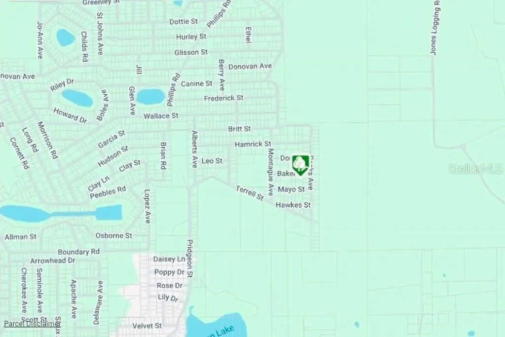 Lot 8 Baker Street Interlachen FL 32148