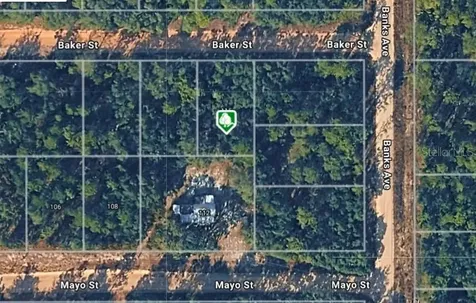 Lot 8 Baker Street Interlachen FL 32148
