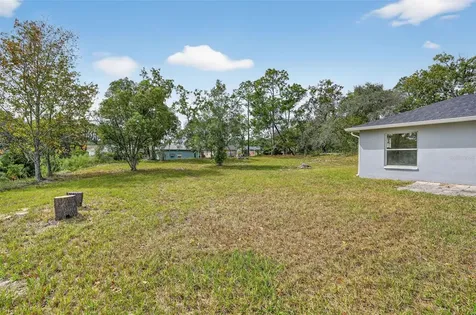 10294 Desert Sparrow Avenue Weeki Wachee FL 34613