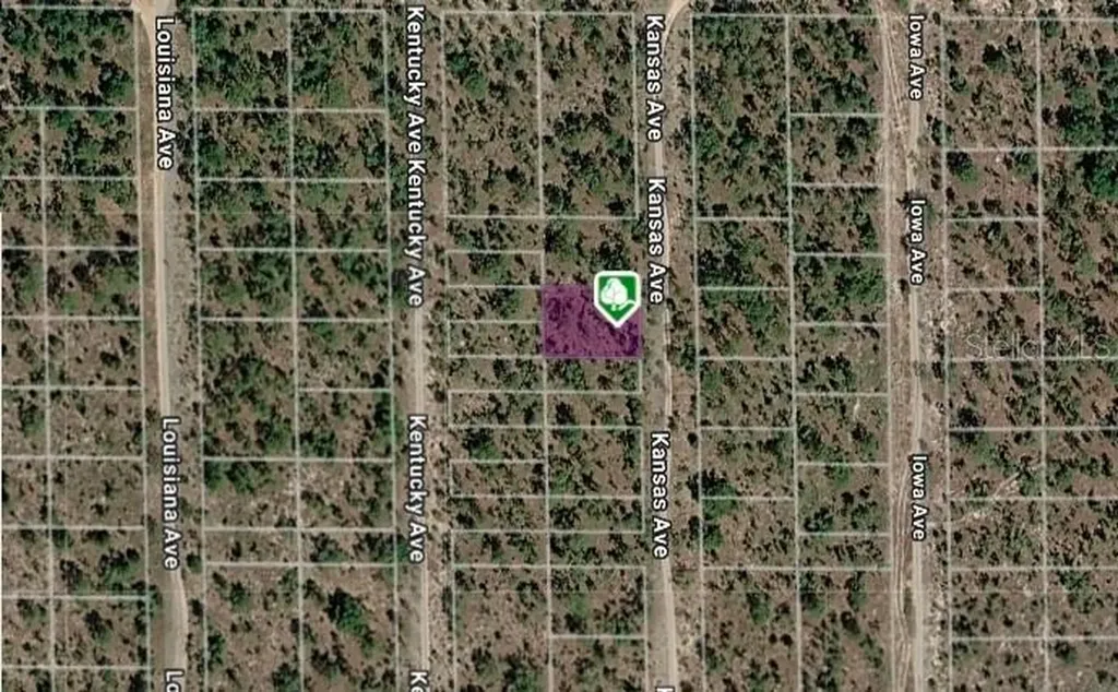 Lot 8 And 9 Kansas Avenue Hawthorne FL 32640