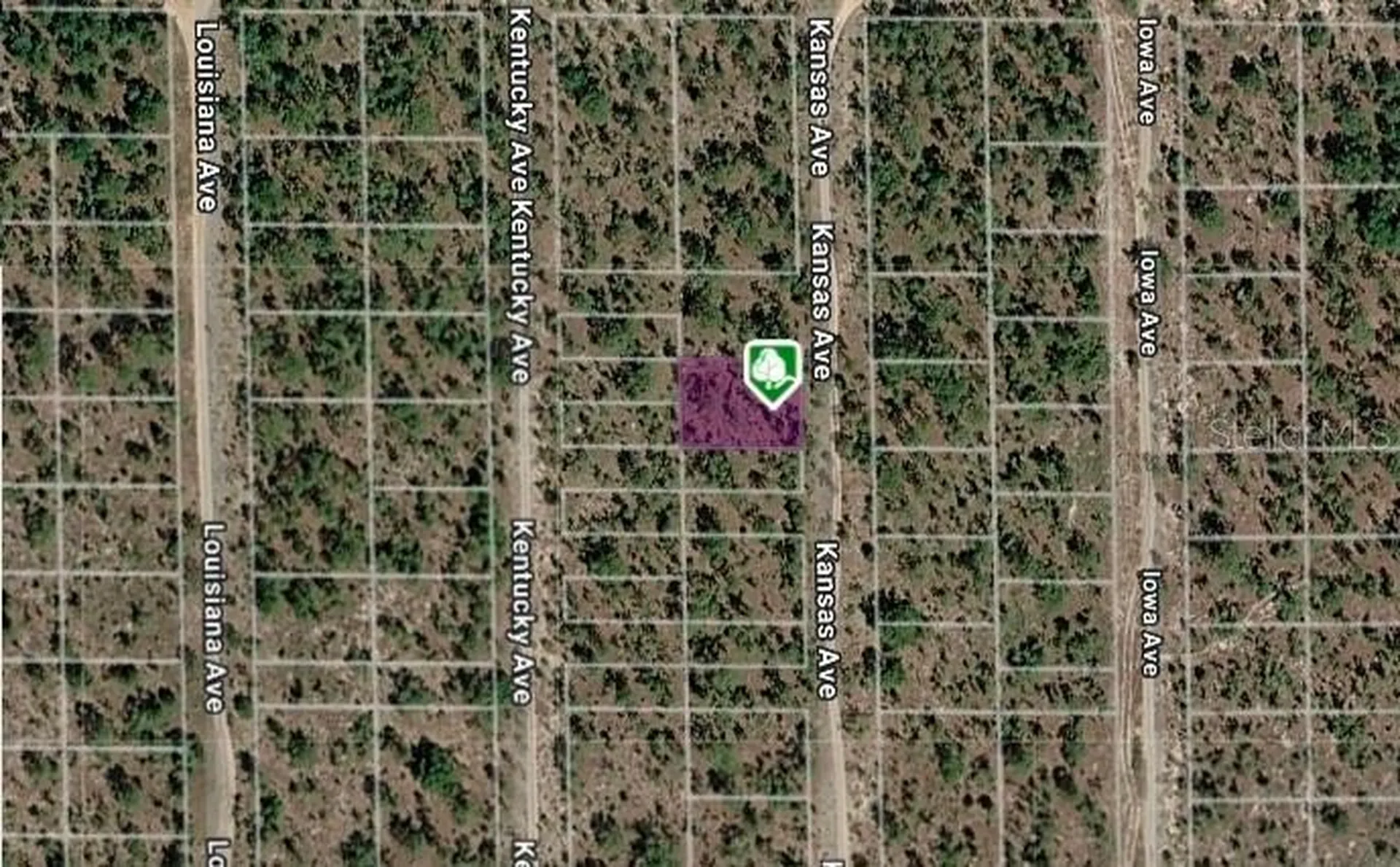 Lot 8 And 9 Kansas Avenue Hawthorne FL 32640
