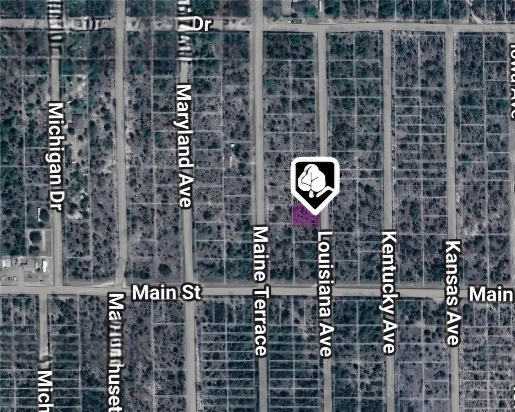 Lot 19 And 20 Louisiana Avenue Hawthorne FL 32640