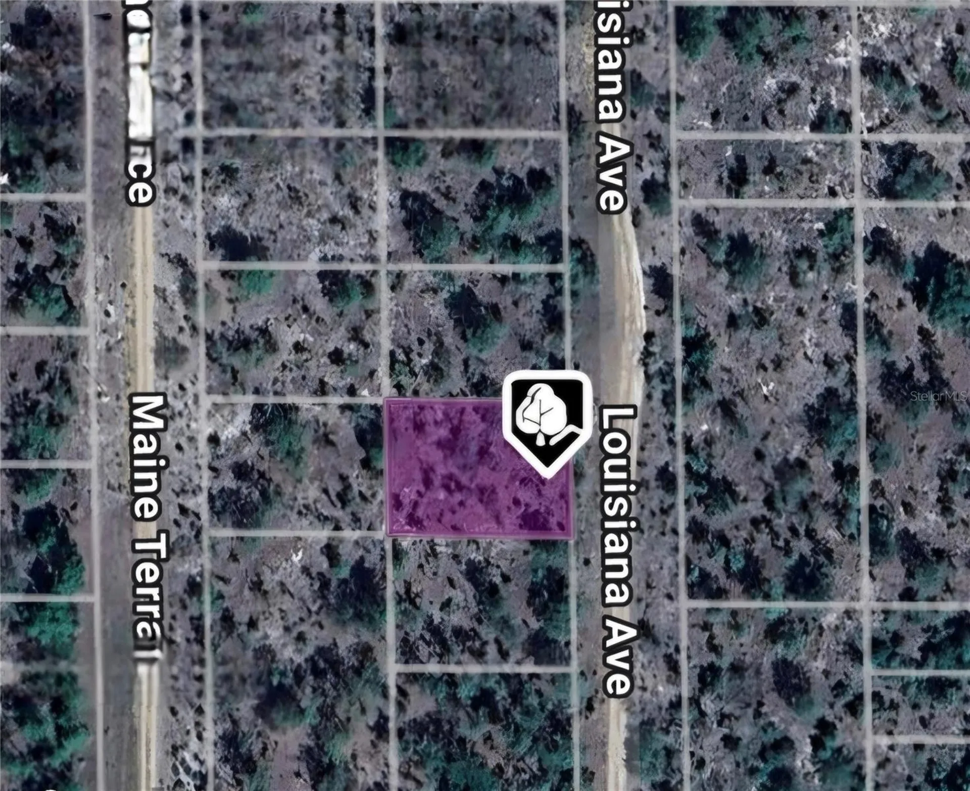 Lot 19 And 20 Louisiana Avenue Hawthorne FL 32640