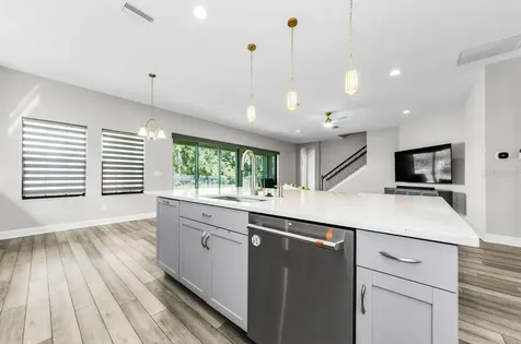291 Mossy River Court Brandon FL 33511