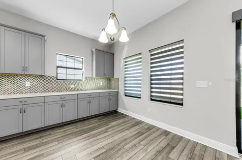 291 Mossy River Court Brandon FL 33511