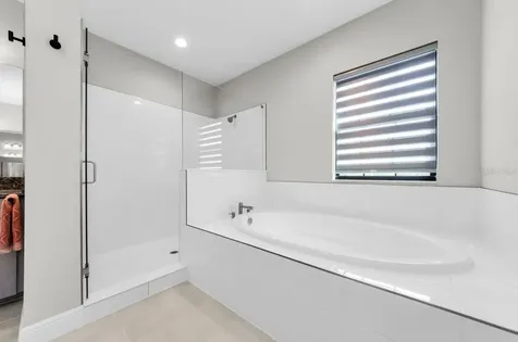 291 Mossy River Court Brandon FL 33511