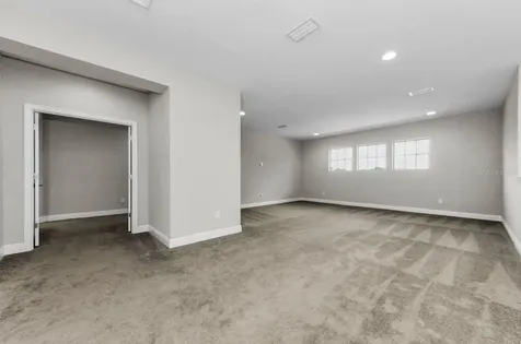 291 Mossy River Court Brandon FL 33511