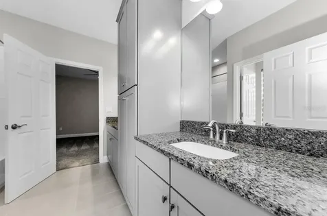 291 Mossy River Court Brandon FL 33511