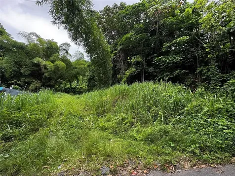 Carr 181 Bo Masa Km 13 Hm 2 Gurabo PR 00778