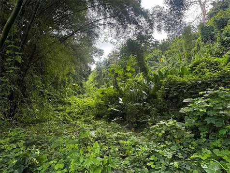 Carr 181 Bo Masa Km 13 Hm 2 Gurabo PR 00778
