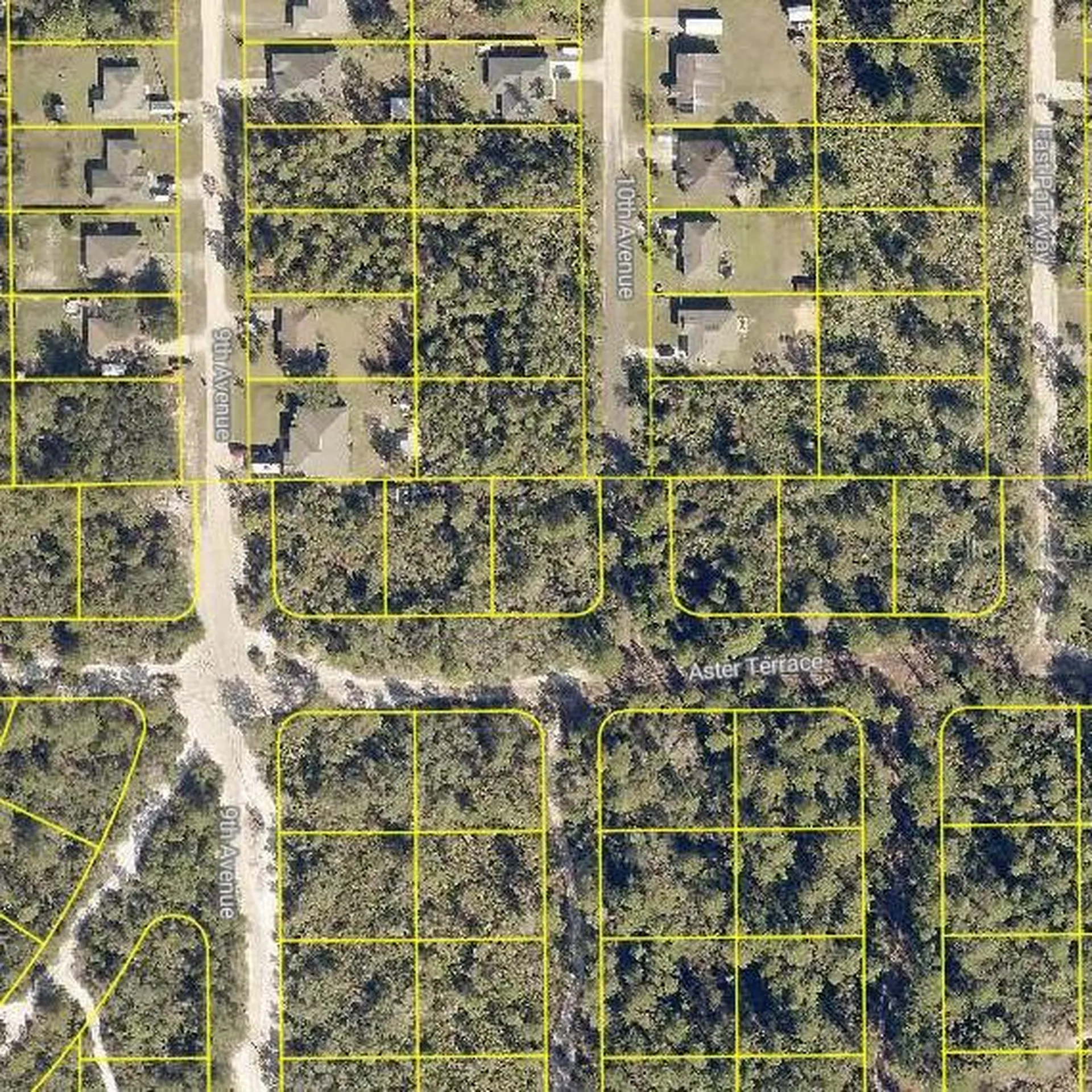 Aster Terrace Deland FL 32724
