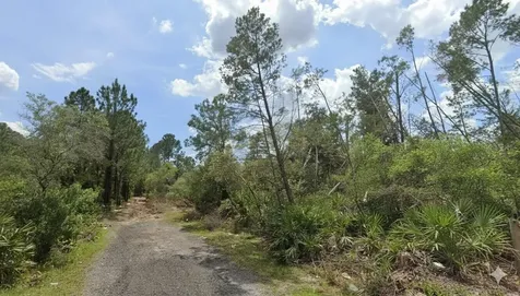 Aster Terrace Deland FL 32724