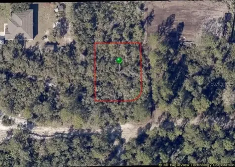 Aster Terrace Deland FL 32724