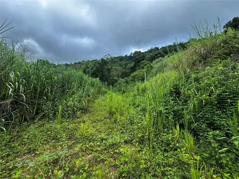Bo Masa De Gurabo Carr 181 Km 13 Hm 2 Gurabo PR 00778