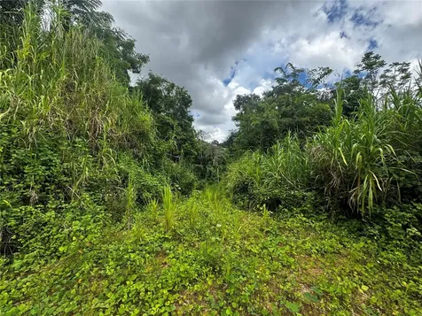 Bo Masa De Gurabo Carr 181 Km 13 Hm 2 Gurabo PR 00778