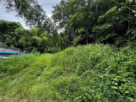 Bo Masa De Gurabo Carr 181 Km 13 Hm 2 Gurabo PR 00778