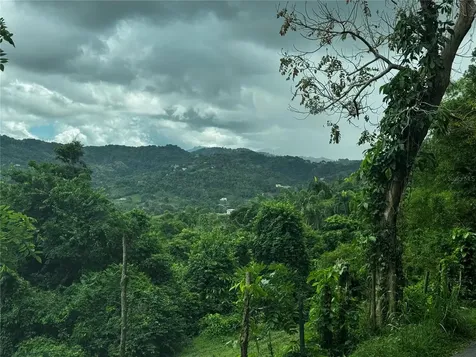 Bo Masa De Gurabo Carr 181 Km 13 Hm 2 Gurabo PR 00778