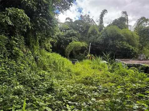 Bo Masa De Gurabo Carr 181 Km 13 Hm 2 Gurabo PR 00778