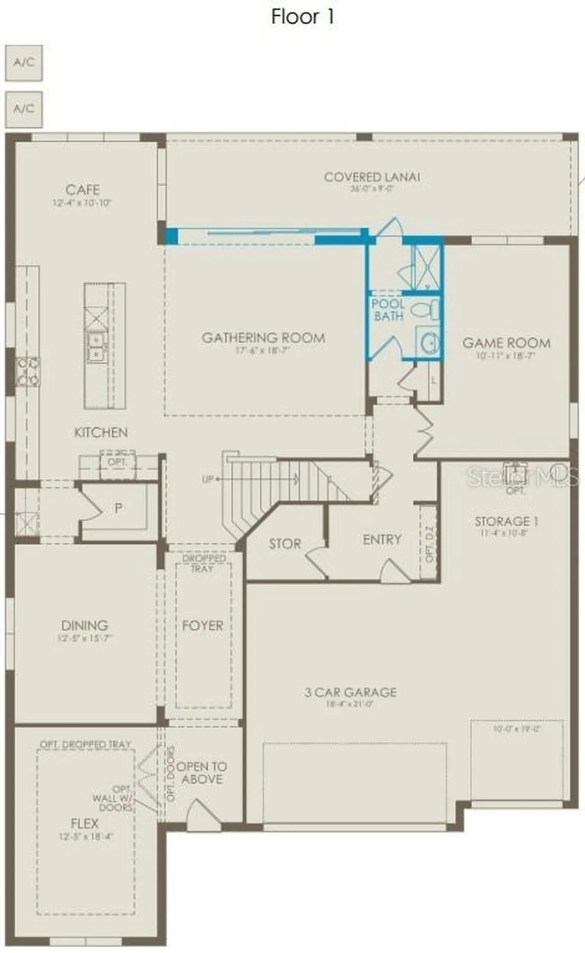 4608 Golden Birch Avenue Clermont FL 34714