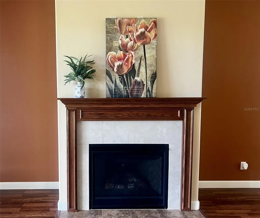 8860 Bridgeport Bay Circle Mount Dora FL 32757
