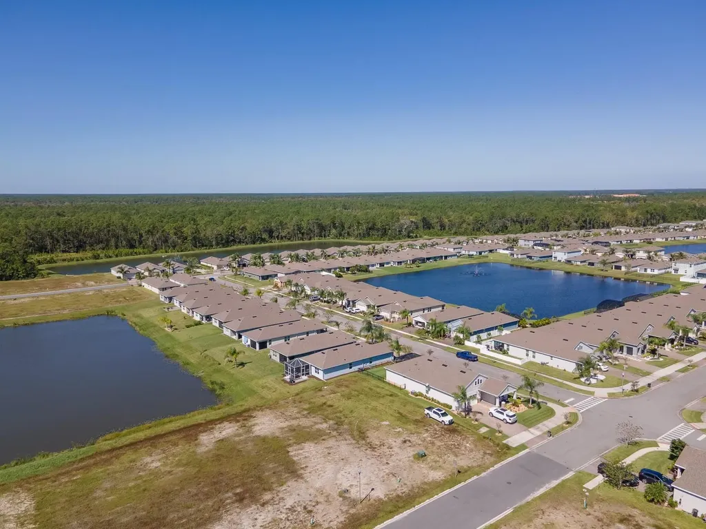 3106 Borassus Drive New Smyrna Beach FL 32168