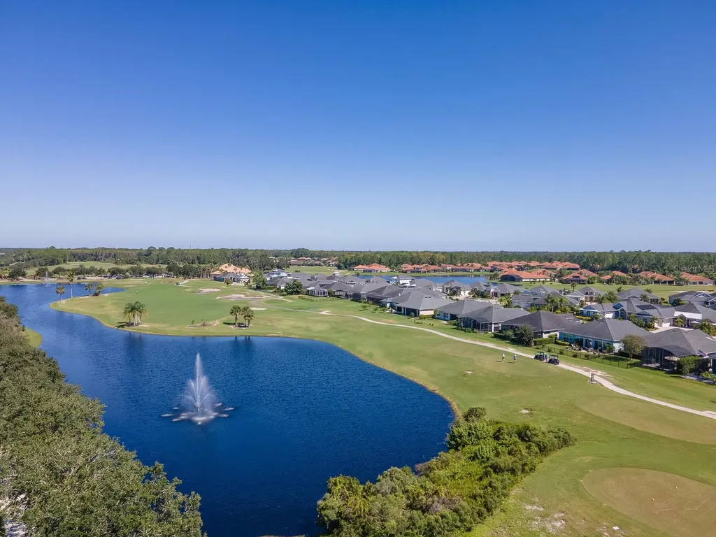 3106 Borassus Drive New Smyrna Beach FL 32168