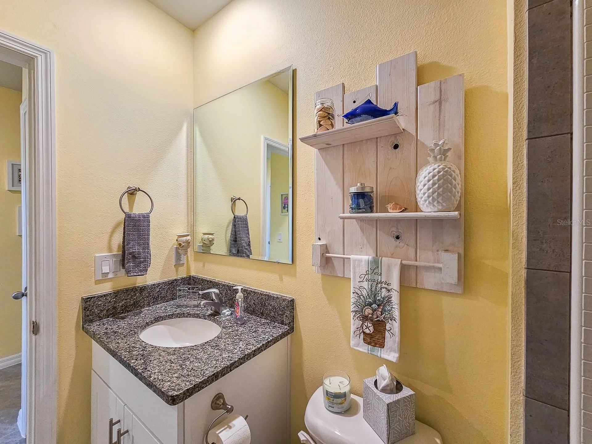 3106 Borassus Drive New Smyrna Beach FL 32168