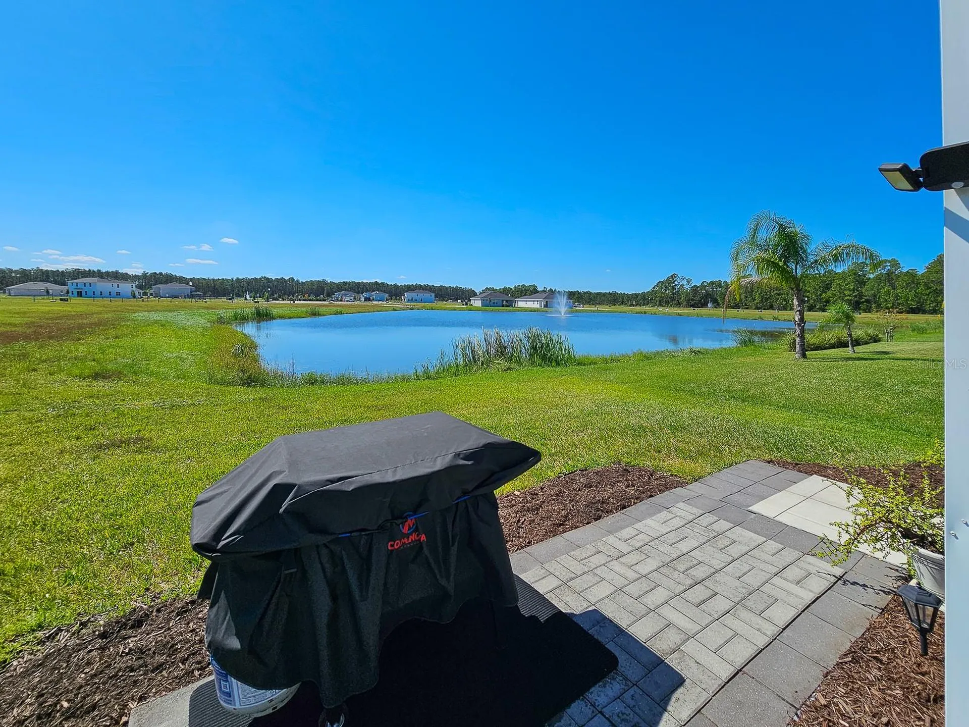 3106 Borassus Drive New Smyrna Beach FL 32168