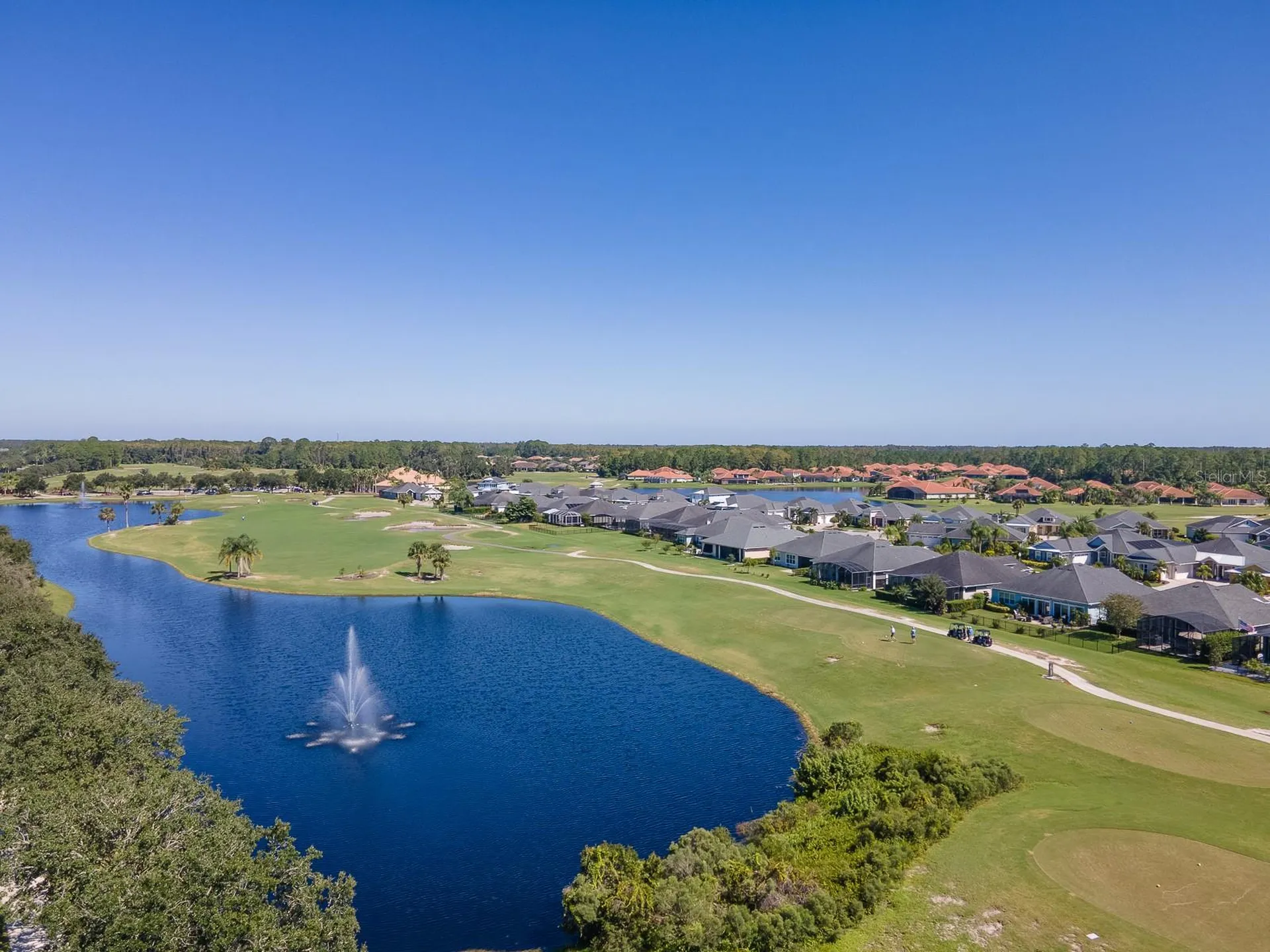 3106 Borassus Drive New Smyrna Beach FL 32168