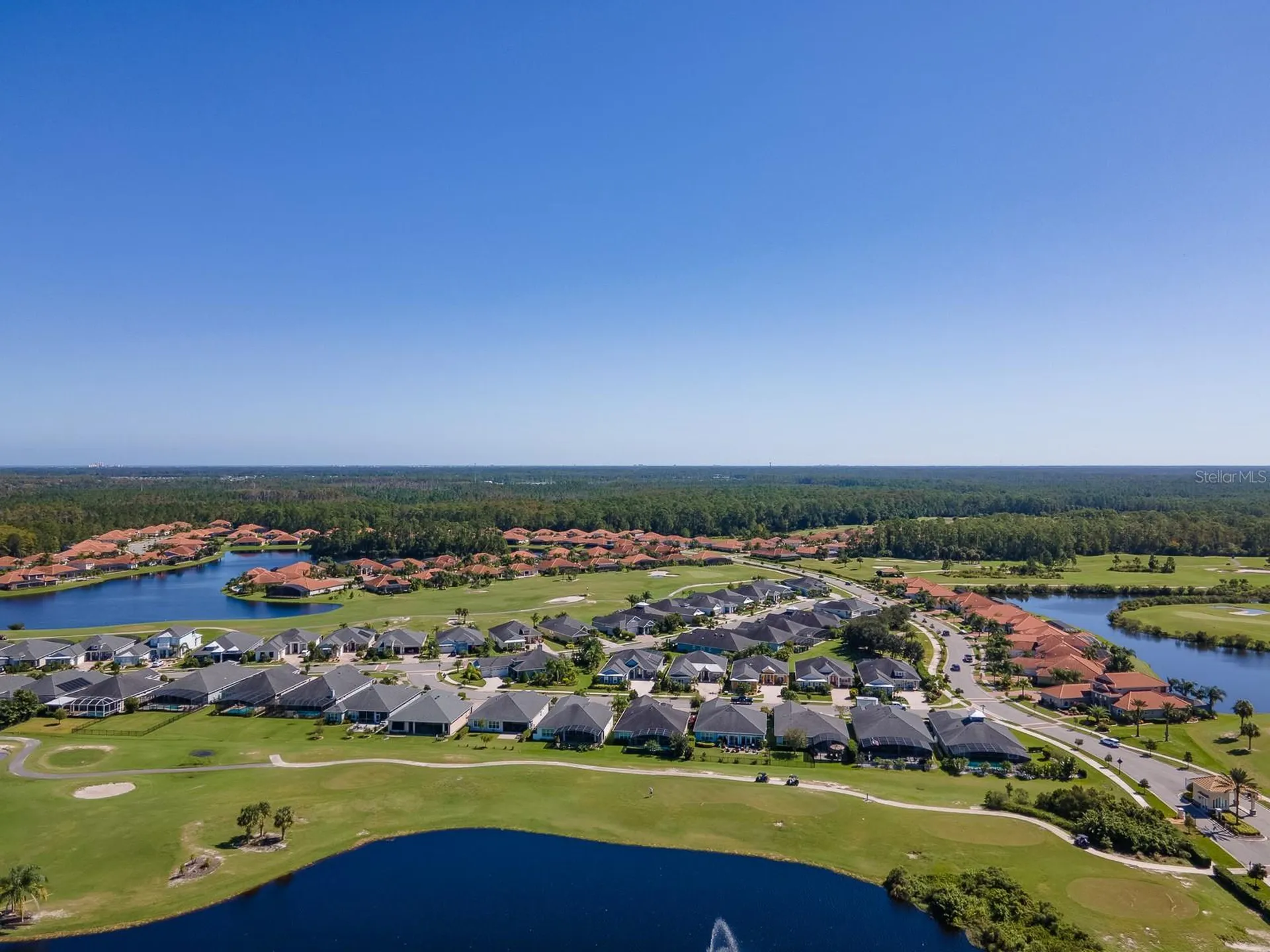 3106 Borassus Drive New Smyrna Beach FL 32168