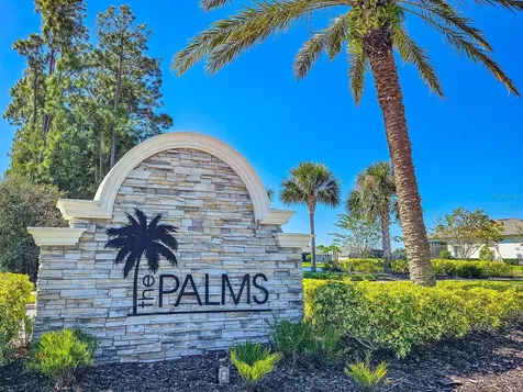 3106 Borassus Drive New Smyrna Beach FL 32168