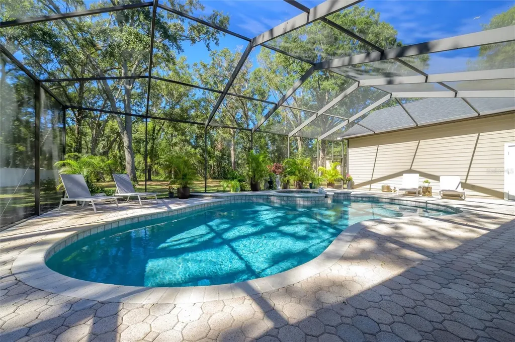 16328 Emerald Cove Drive Lutz FL 33549