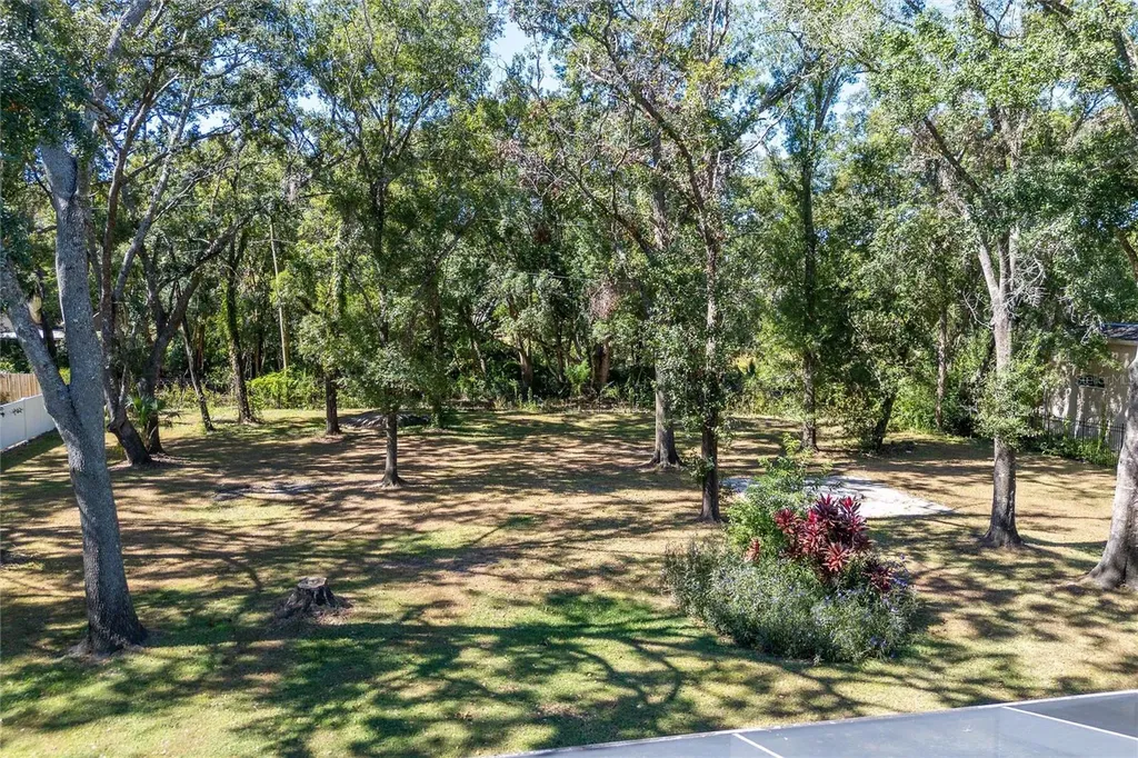 16328 Emerald Cove Drive Lutz FL 33549
